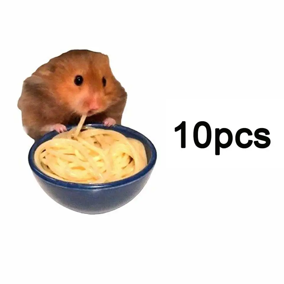 10pcs